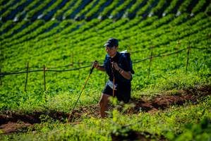 BIB: 
                            <button type="button" onclick="openModal(19160612)" class="btn btn-primary btn-sm float-right btn-popup" data-toggle="modal" data-target=".modal-high-quality">
                        <i class="fas fa-shopping-cart"></i> Add to Cart
                    </button>
                                            <button type="button" onclick="isThisMe(19160612, true)" class="btn btn-success btn-sm float-right btn-popup btn-isme hidden" data-toggle="tooltip" data-placement="bottom" title="นี่คือรูปของคุณใช่ไหม คลิกที่นี่เพื่อเอาเข้าอัลบั้ม">
                        <i class="fas fa-plus"></i> Add to album
                    </button>
                    <button type="button" onclick="isThisMe(19160612, false)" class="btn btn-warning btn-sm float-right btn-popup btn-isnotme hidden">
                        <i class="fas fa-ban"></i> Remove from album
                    </button>